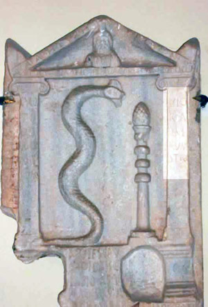 a stelea of a snake